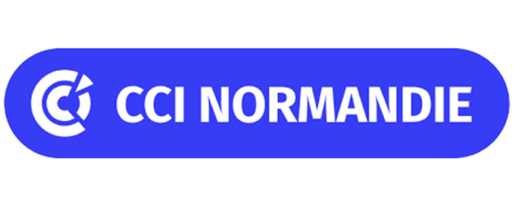 Partner Corporate Logo 7